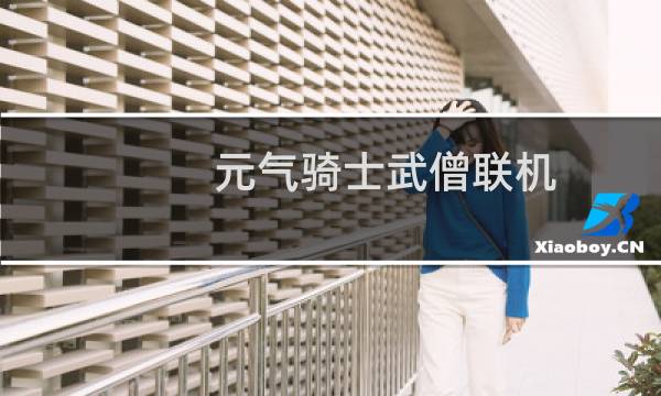 元气骑士武僧联机