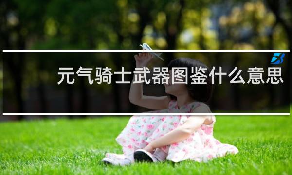 元气骑士武器图鉴什么意思