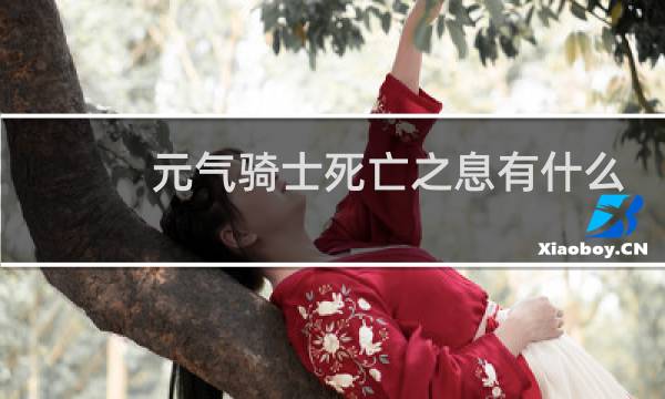 元气骑士死亡之息有什么