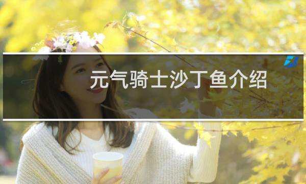 元气骑士沙丁鱼介绍