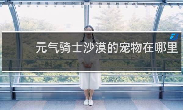 元气骑士沙漠的宠物在哪里