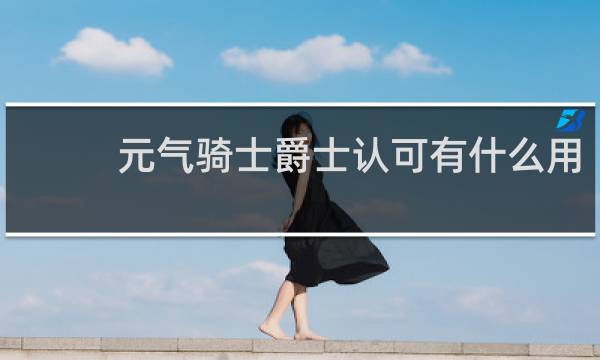 元气骑士爵士认可有什么用