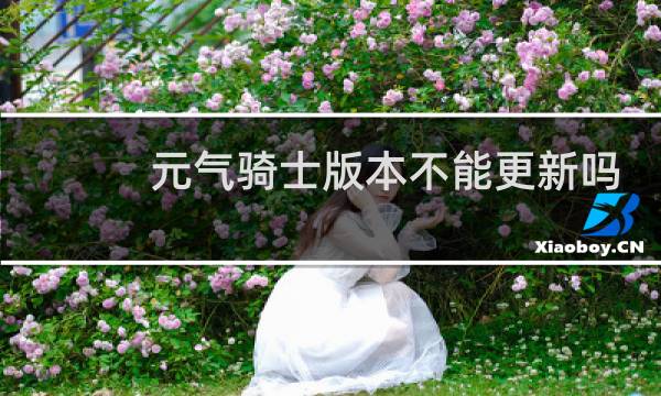 元气骑士版本不能更新吗