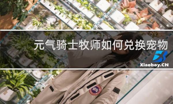 元气骑士牧师如何兑换宠物
