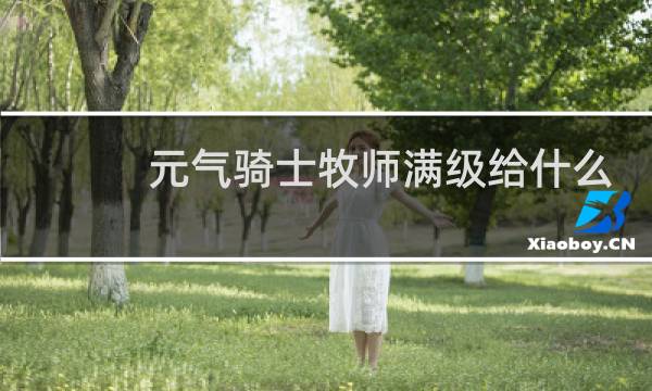 元气骑士牧师满级给什么