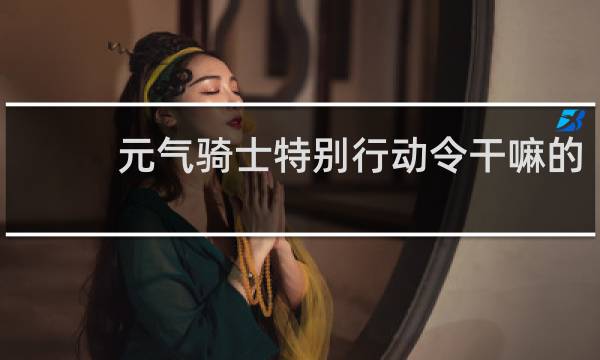 元气骑士特别行动令干嘛的