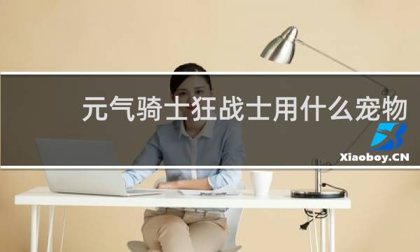 元气骑士狂战士用什么宠物