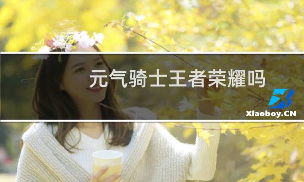 元气骑士王者荣耀吗