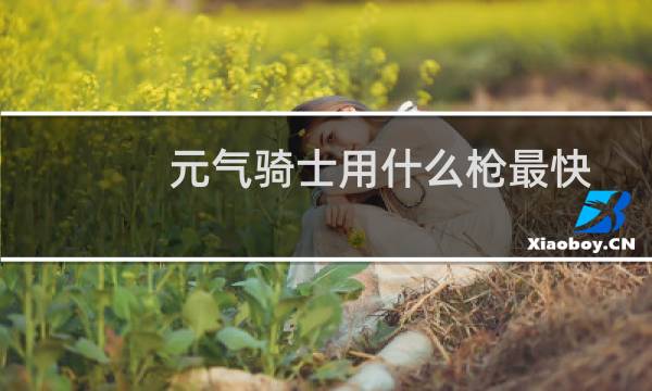元气骑士用什么枪最快