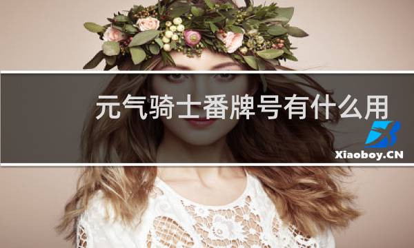 元气骑士番牌号有什么用