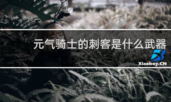 元气骑士的刺客是什么武器