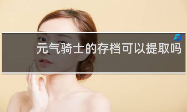 元气骑士的存档可以提取吗