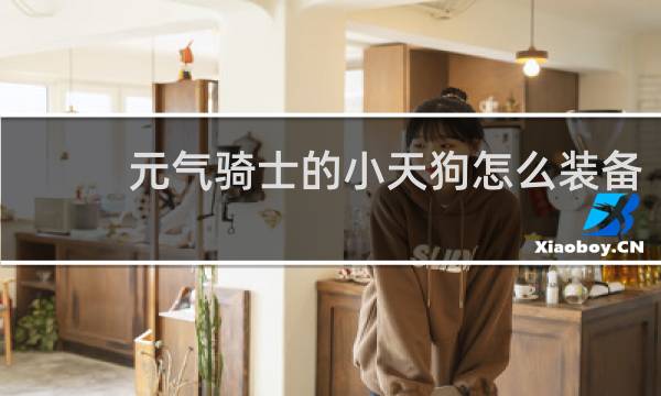 元气骑士的小天狗怎么装备