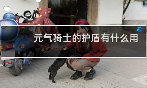 元气骑士的护盾有什么用