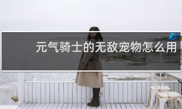 元气骑士的无敌宠物怎么用