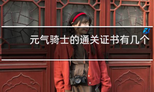 元气骑士的通关证书有几个