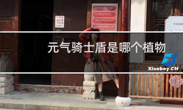 元气骑士盾是哪个植物