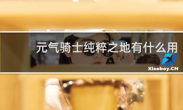 元气骑士纯粹之地有什么用