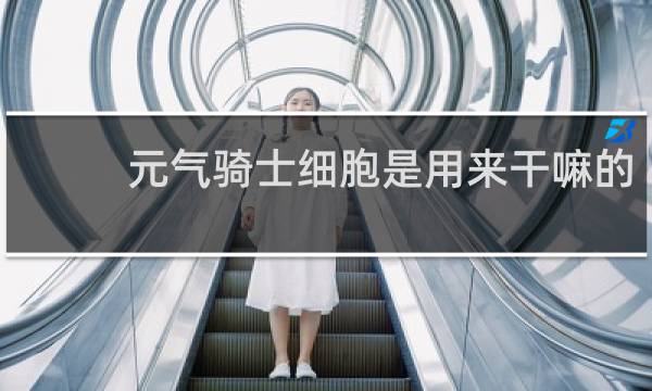 元气骑士细胞是用来干嘛的