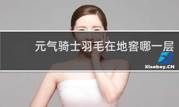 元气骑士羽毛在地窖哪一层