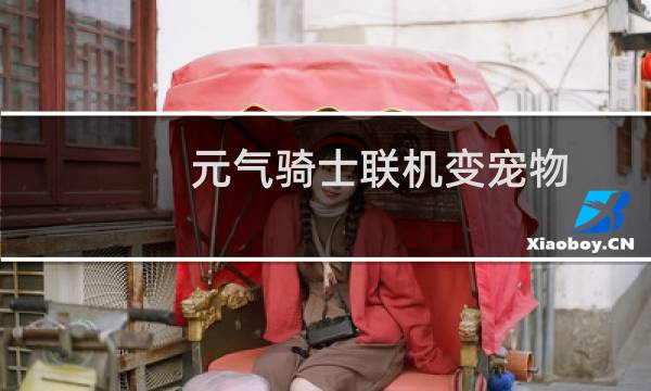 元气骑士联机变宠物