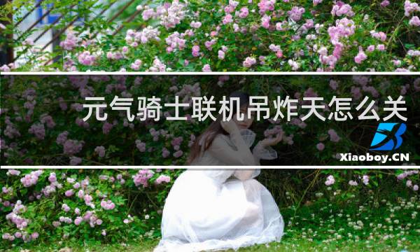 元气骑士联机吊炸天怎么关