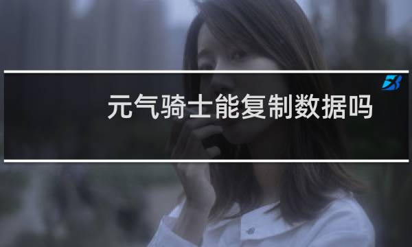 元气骑士能复制数据吗