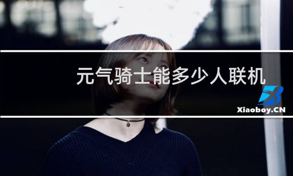 元气骑士能多少人联机