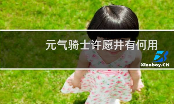 元气骑士许愿井有何用