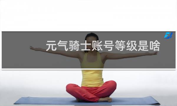 元气骑士账号等级是啥