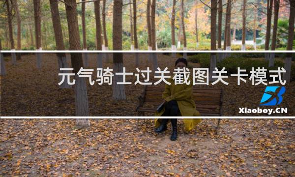 元气骑士过关截图关卡模式