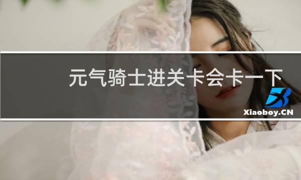 元气骑士进关卡会卡一下