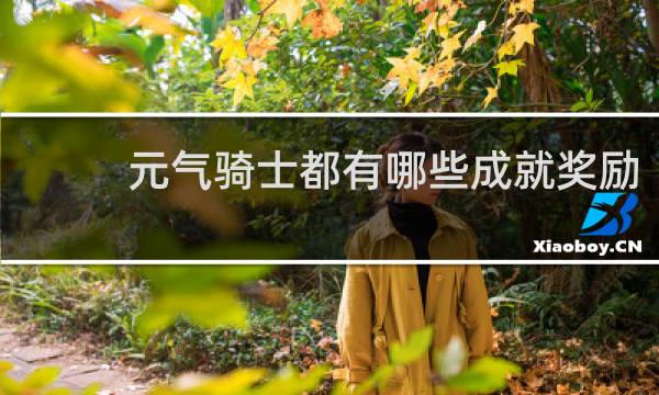 元气骑士都有哪些成就奖励