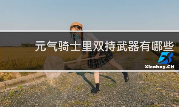 元气骑士里双持武器有哪些
