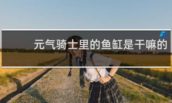 元气骑士里的鱼缸是干嘛的