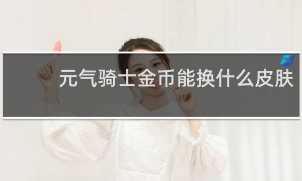 元气骑士金币能换什么皮肤