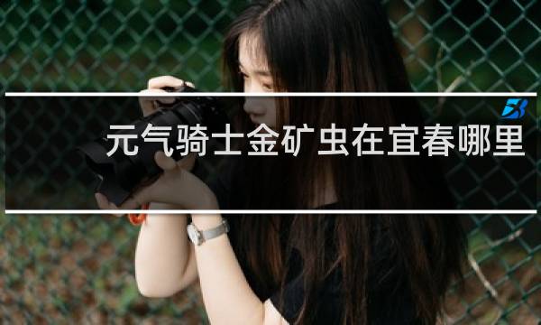 元气骑士金矿虫在宜春哪里