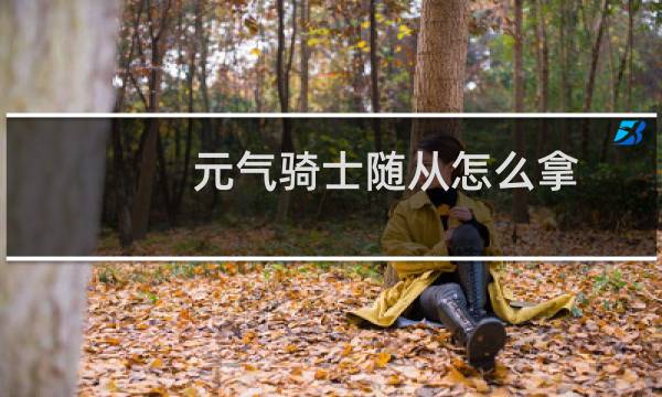 元气骑士随从怎么拿