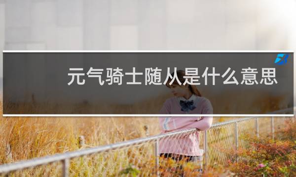 元气骑士随从是什么意思