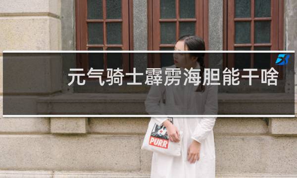 元气骑士霹雳海胆能干啥