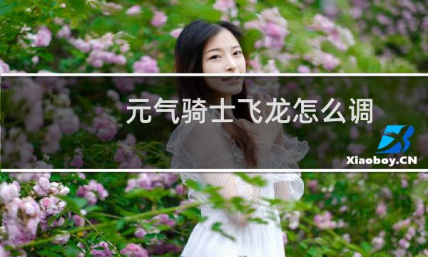 元气骑士飞龙怎么调