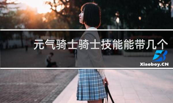 元气骑士骑士技能能带几个