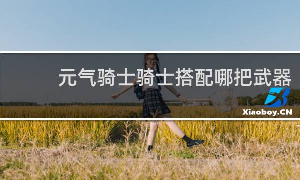 元气骑士骑士搭配哪把武器