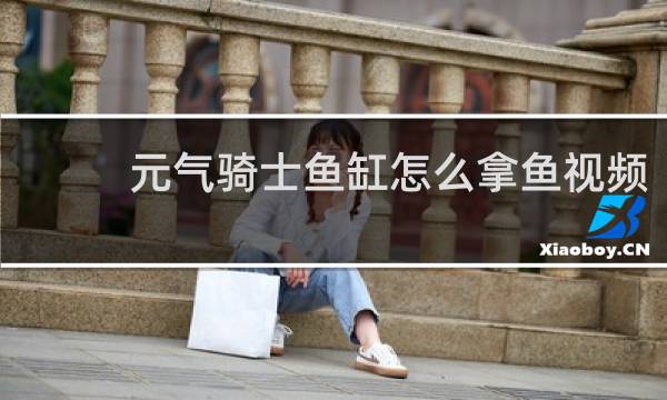 元气骑士鱼缸怎么拿鱼视频
