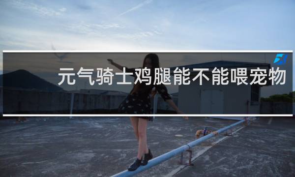 元气骑士鸡腿能不能喂宠物