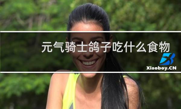 元气骑士鸽子吃什么食物