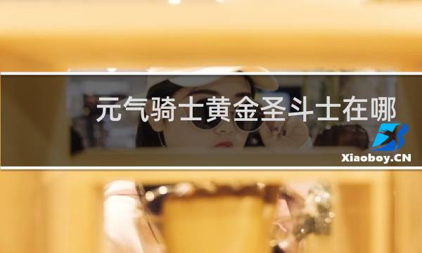 元气骑士黄金圣斗士在哪