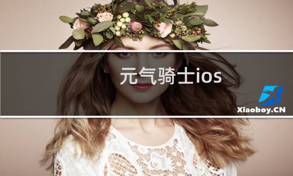 元气骑士ios 联机