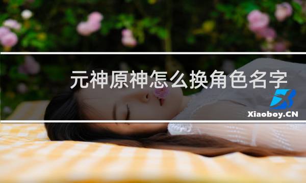 元神原神怎么换角色名字