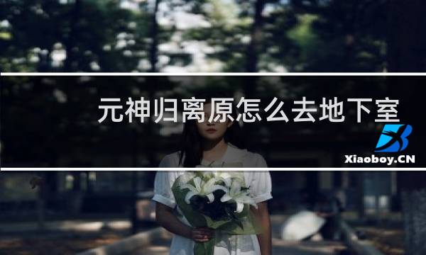 元神归离原怎么去地下室